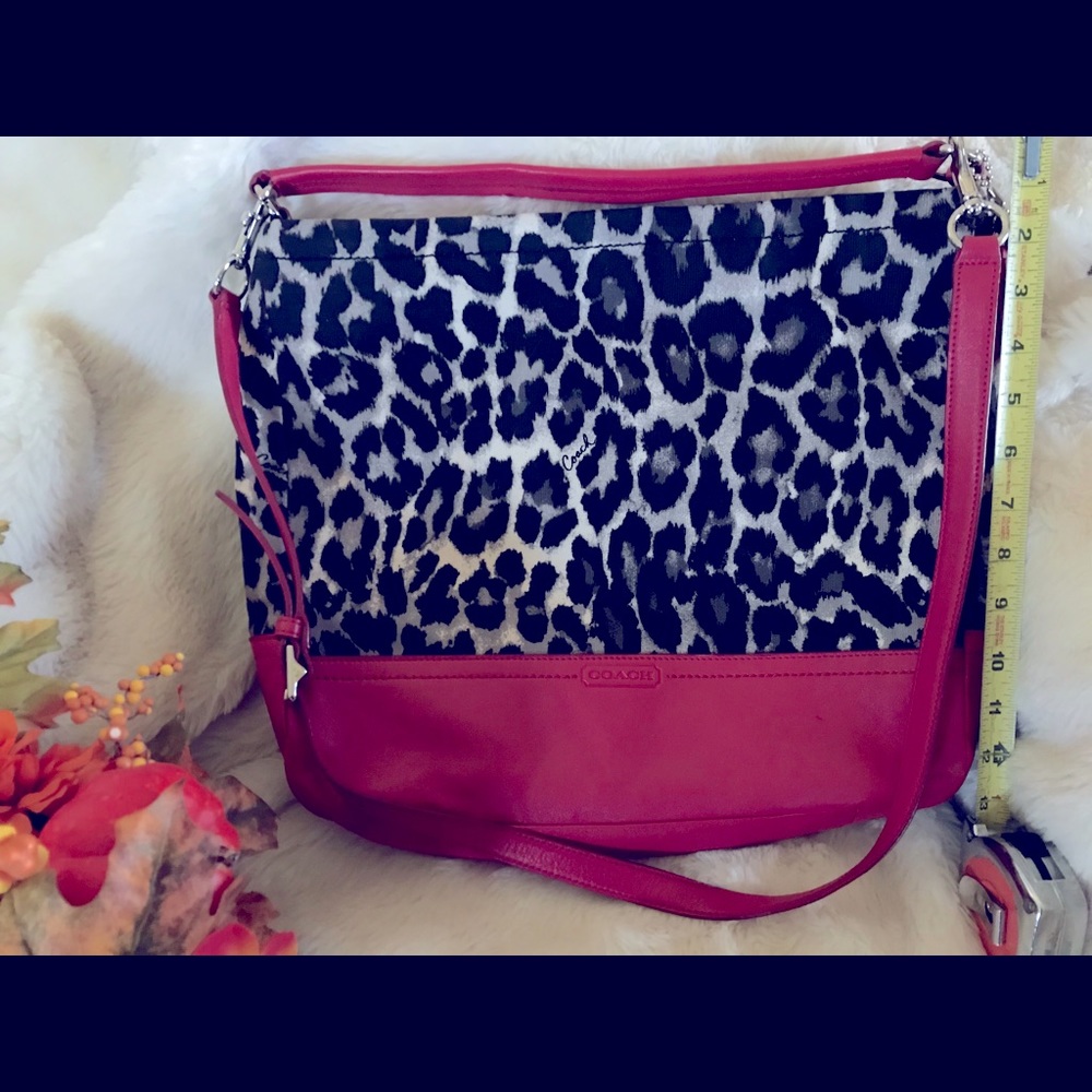 Coach Hobo Handbag